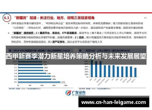 西甲新赛季潜力新星培养策略分析与未来发展展望