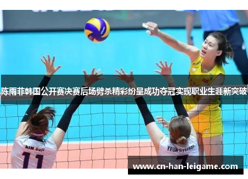 陈雨菲韩国公开赛决赛后场劈杀精彩纷呈成功夺冠实现职业生涯新突破 陈雨菲韩国公开赛决赛后场劈杀精彩纷呈成功夺冠实现职业生涯新突破