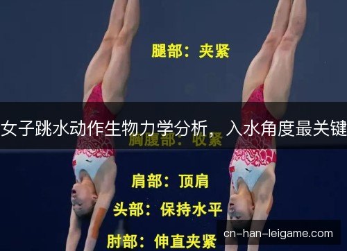 女子跳水动作生物力学分析，入水角度最关键